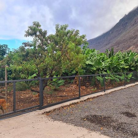 Amazing Coast House On A Tranquil Organic Farm Villa La La Frontera Exterior foto